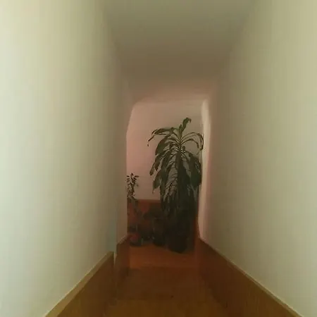 Ela Apartment Bihac
